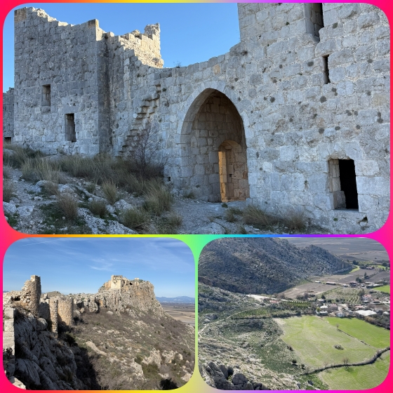 2026 TYF-Uluslararas� Masterlar